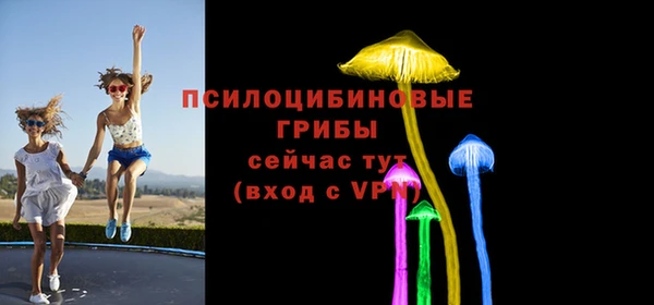 синтетический гашиш Алексеевка
